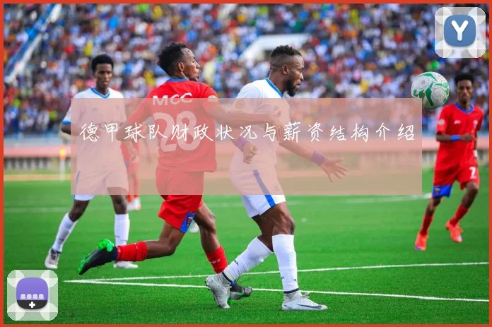 德甲球队财政状况与薪资结构介绍