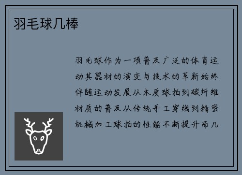 羽毛球几棒
